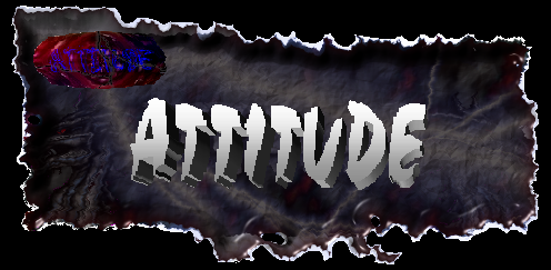 Attitude